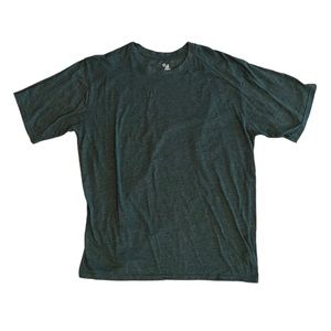 Badger sports blank t-shirt.
